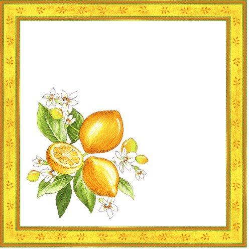 Provencal Traditional Cloth Napkins | Set of 4 | Lemons White (Citron Blanc)